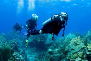 courses OPEN WATER Divers in malta