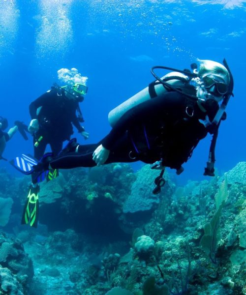 courses OPEN WATER Divers in malta