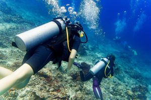 paquetes de buceo malta Divers