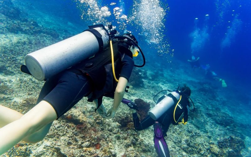 paquetes de buceo malta Divers